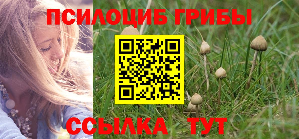 Красноперекопск  купить закладку  Вход с VPN  Галлюциногенные грибы MAGIC MUSHROOMS 